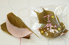 焼き皮製「桜餅」