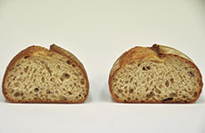 左：トーンガルテンのルヴァンで仕込んだパン／香りがよくマイルドな酸味