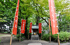 木々に囲まれた菓祖神 萬寿神社