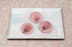 「おぼろ桜の水中花」