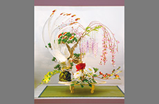 【名誉総裁賞】「雅」吉田貴之氏