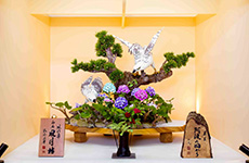 【名誉総裁賞】「阿波の国から」谷﨑 勉氏