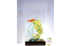 【文部科学大臣賞】「～BIOTOP～」加野拓夢氏