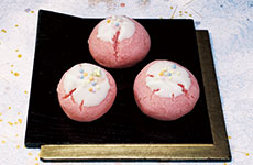 「チョコッと黄味桜」制作＝渡辺友介氏